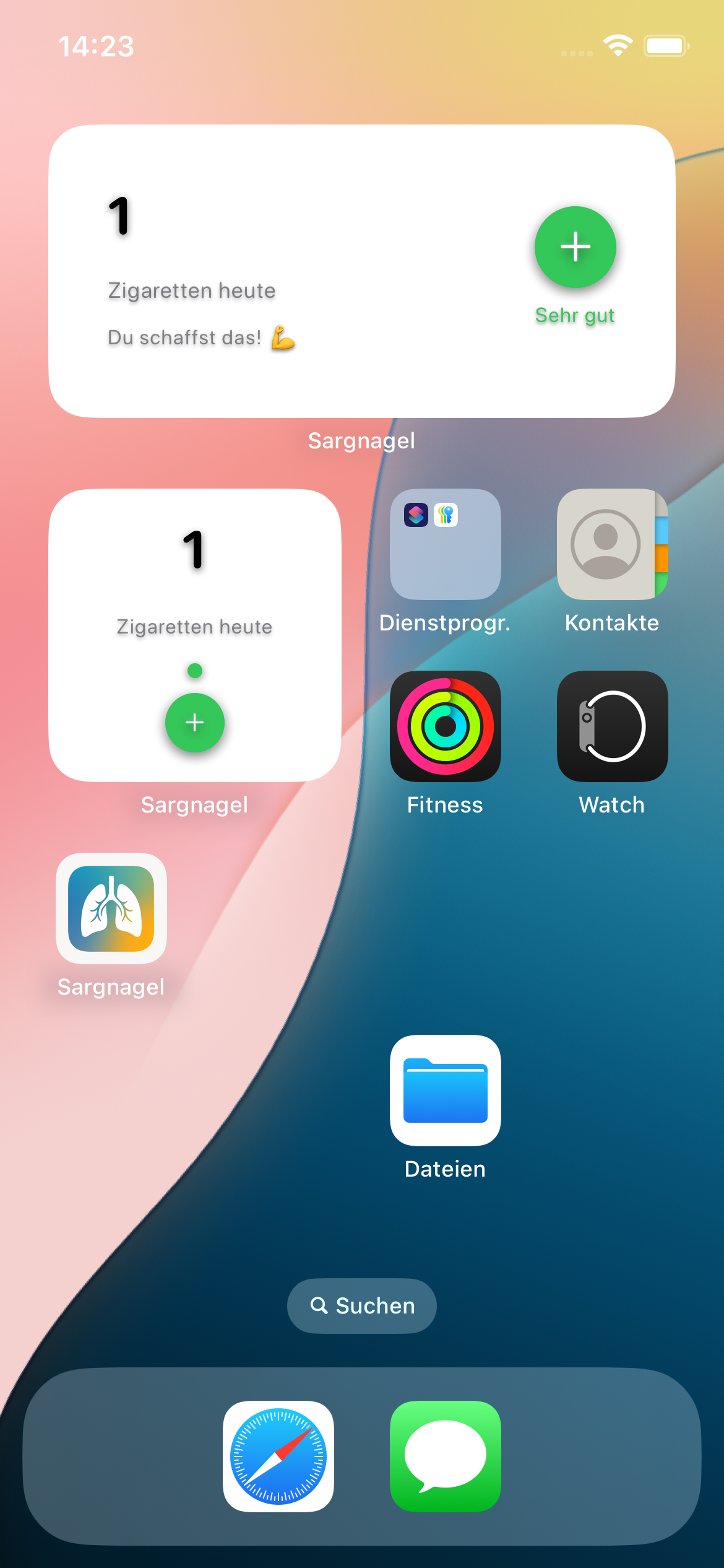 iOS Widget Screenshot 1